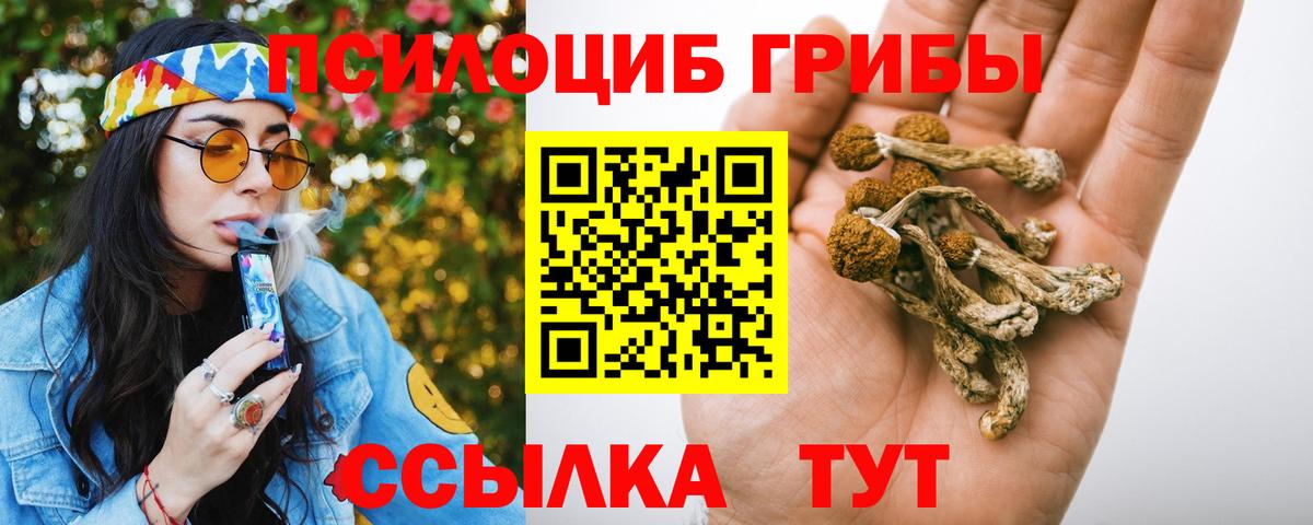 Псилоцибиновые грибы GOLDEN TEACHER Тула